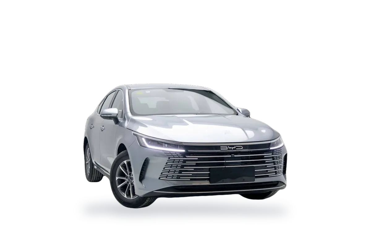 Recambios BYD Destroyer 05 por número OE - EVParto